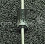 31DQ06