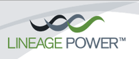 Lineage Power (凌冀電子)