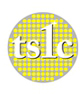 Taiwan Semiconductor (臺灣半導體)