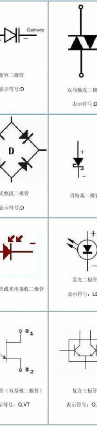 文章圖片