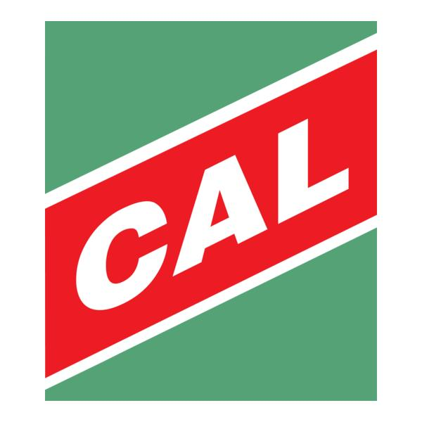 CAL Test Electronics